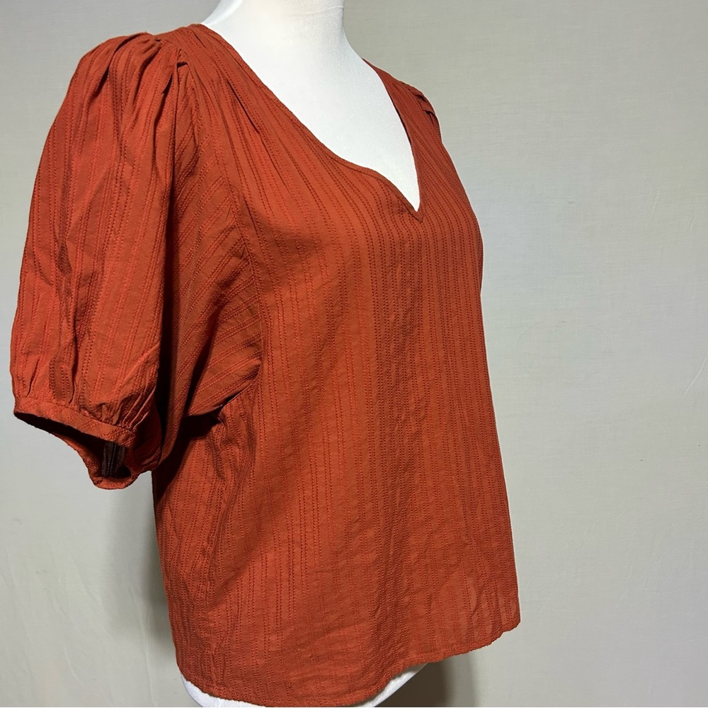 Madewell V-Neck Puff-Sleeve Top in Textured Stripe Rusty